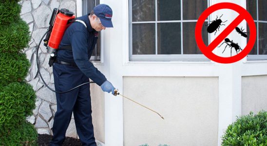 Sığacık Kene İlaçlama böcek ilaçlama ve haşere kontrolü — ilaclama-tr.com